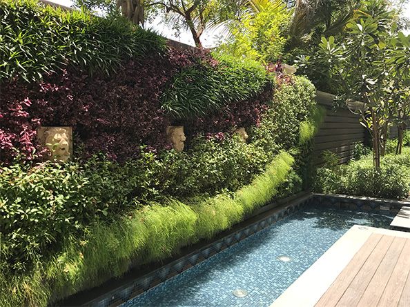 Serene Villa Landscape